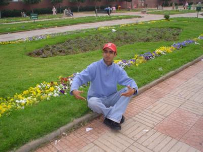 wahid